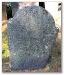 157_dungan.jpg