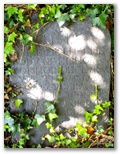 187_connor_elinor_margret.jpg