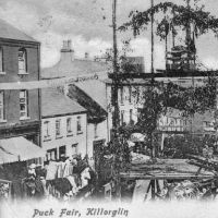 Puck Fair, Killarney